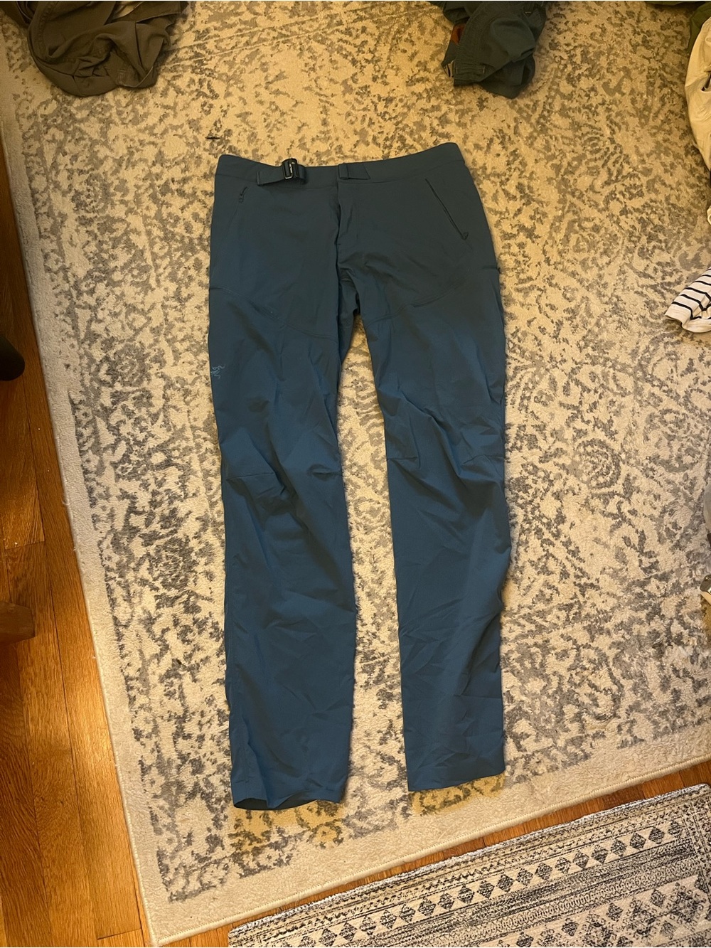Arc'teryx Men's Teal Outdoor Cargo Pants